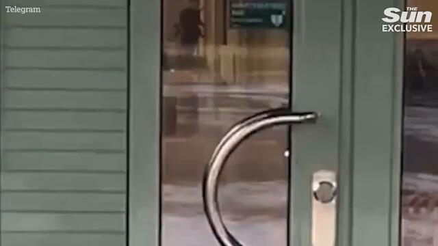 Sweden mass shooter named as ‘loner with social phobia’