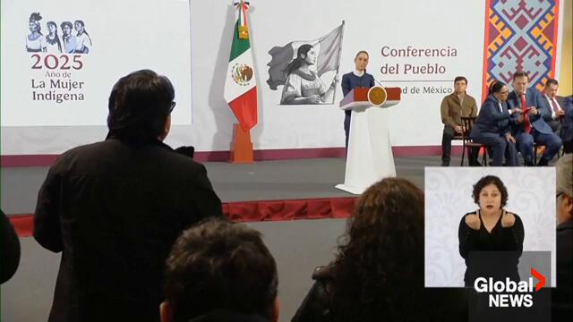 Mexican president says tariffs delayed after "good" talk with Trump