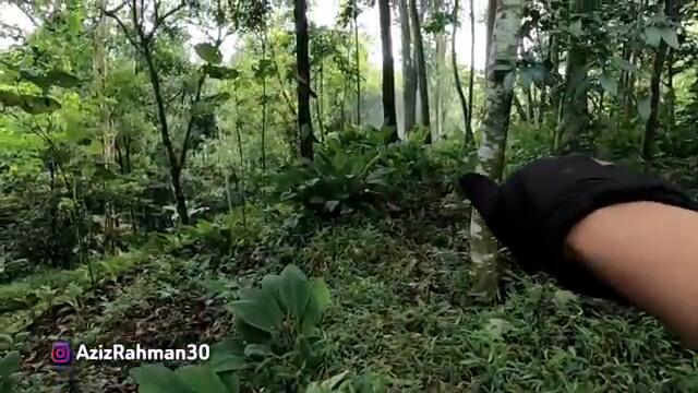 TAK MASUK AKAL!! MANTAN ARTIS DANGDUT MEMILIH TINGGAL DI GUBUK REOT DI DALAM HUTAN