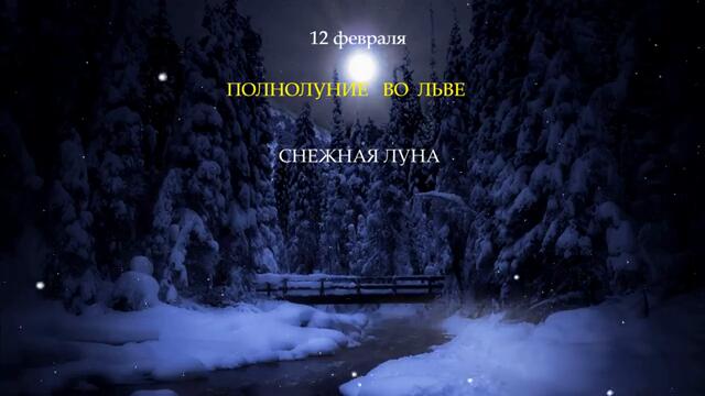 Полнолуние во Льве 12 февраля 2025. Астропрогоз для всех знаков зодиака