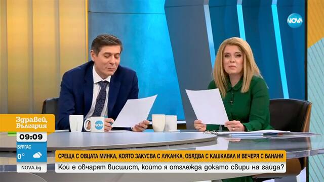 Кой е овчарят висшист, който отглежда животни, докато свири на гайда?