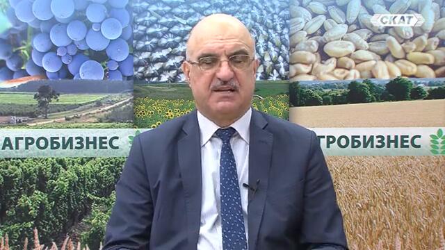 БЪЛГАРИЯ Е В ПРИМКАТА НА КАРТЕЛИ В ХРАНИТЕ