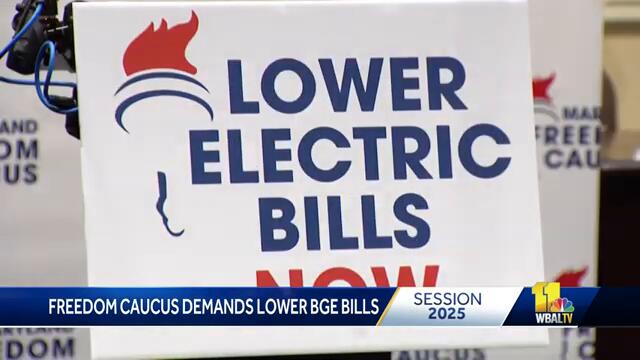 Freedom Caucus' plan to reduce energy costs