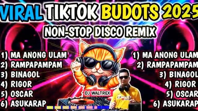 NEW VIRAL TIKTOK BUDOTS 2025 NONSTOP DISCO REMIX DJ WALTREX