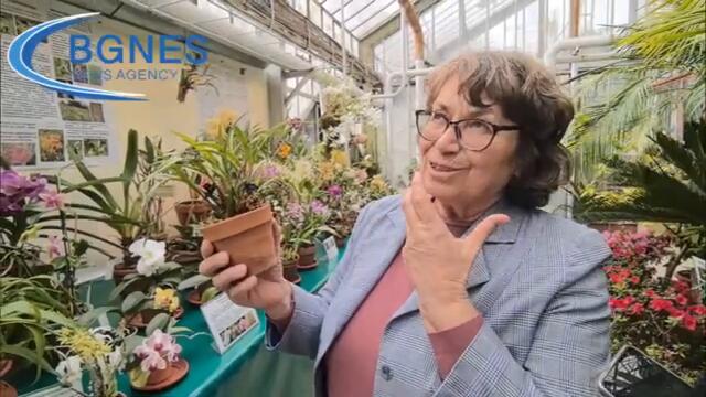 Черна орхидея разцъфна в Ботаническата градина на БАН