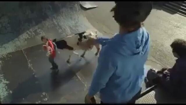 videoplayback 57