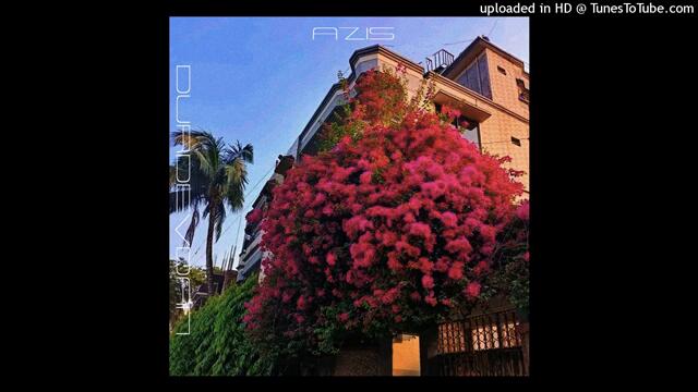 AZIS - DURDEVDAN (COVER Z1LEXXIX)