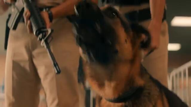 STAGS – Official Trailer
