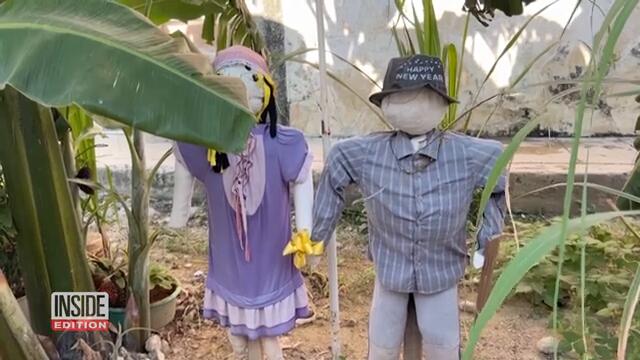 Fruit Trees Flourish in Unrepaired Pothole