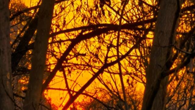 Събуждането си жадувам