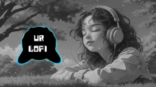 Mind Relax New Hindi Lofi Song | Best Bg | No  Copyright Music 2025