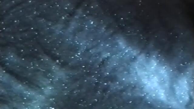 The Substance director Coralie Fargeat’s homemade Star Wars film [CC for English subtitles] (1993)