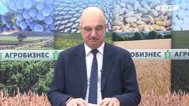 НАСТИГАМЕ ЛИ ГЪРЦИЯ ПО ЖИЗНЕН СТАНДАРТ?