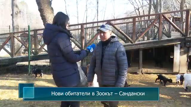 Нови обитатели в Зоокът – Сандански