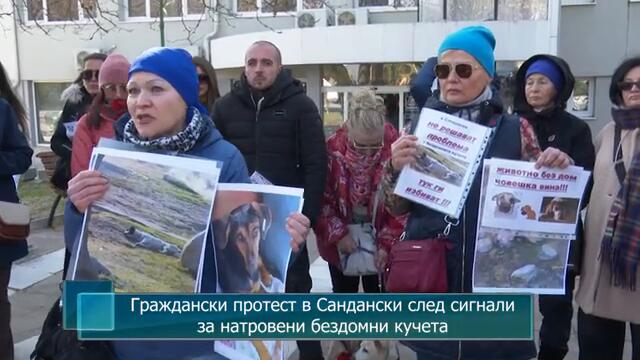 Граждански протест в Сандански след сигнали за натровени бездомни кучета