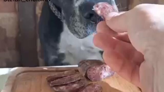 Храня го като бебе #смях #хумор