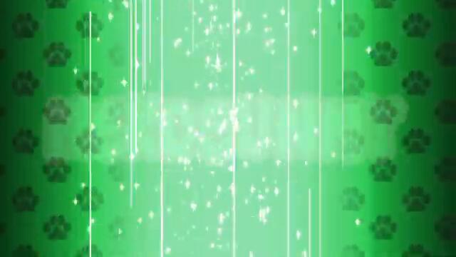 Blackitty / Cat Noir Transformation BGM Remix + BG