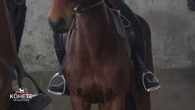 "Конете на България" представя амазонките от българския конен ескадрон