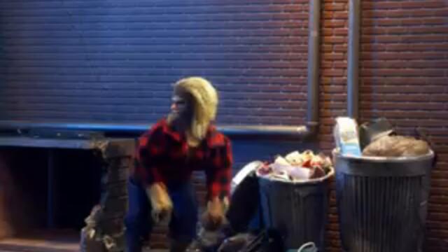 Не дают на луну повыть в полнолуние | Юмор без границ #юмор #смех #fyp #рекомендации