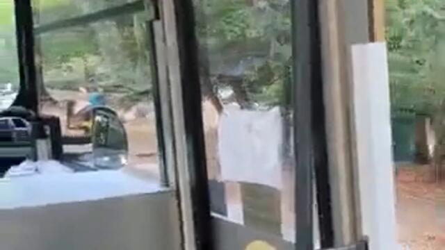 Приморски парк – Google Картиvia torchbrowser com 3