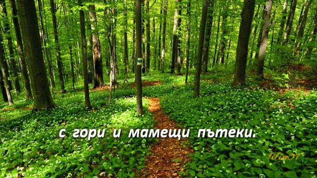 •♫•♬•Честит 3 март! България♡ /песен с любов| Official MV 🇧🇬 #новапесен #България #fifin07 #3март