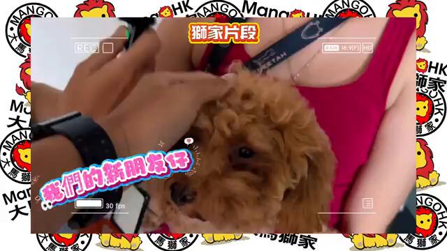 🔹Ativo Plaza Malaysia🔹🇲🇾​⁠​⁠ 突發大事件🚨大馬朋友遇到嚴重車禍💥同一時間有孩子出世😨接到電話都不知怎處理了 [中 ENG SUB] #mangohk