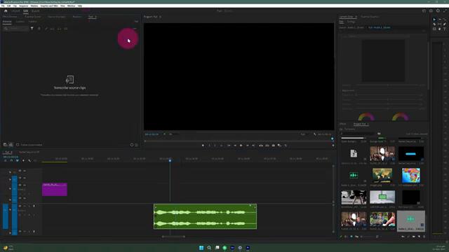 How To Make Subtitles in Premiere Pro