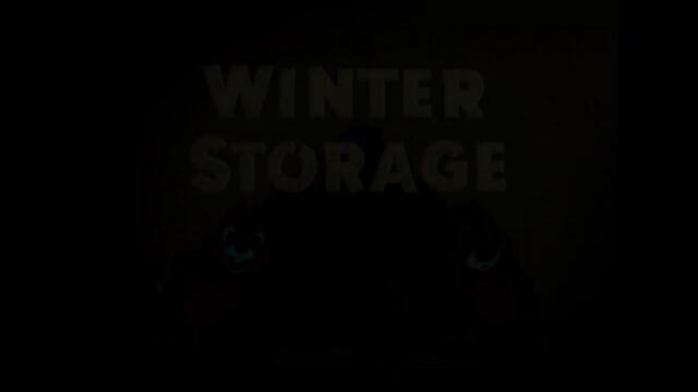 Война за Зимнина (1949)