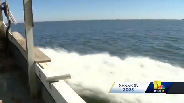 'Oyster Lobby Day' aims to protect bay restoration efforts