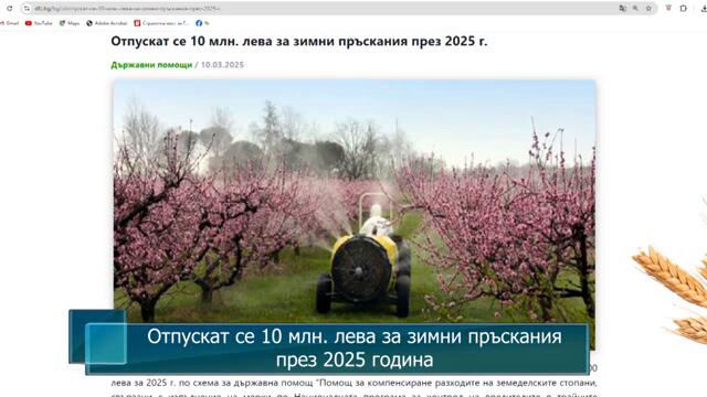 Отпускат се 10 млн. лева за зимни пръскания през 2025 година