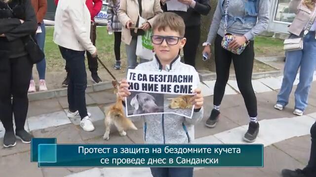 Протест в защита на бездомните кучета се проведе днес в Сандански