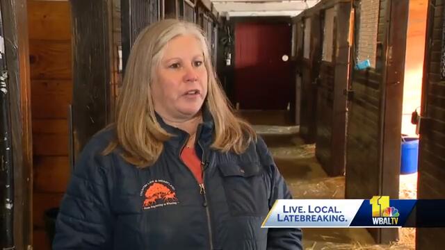 Farm looks to raise the next horse-racing champ