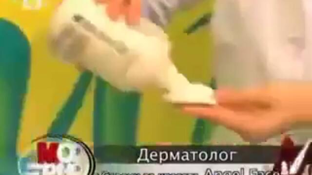 angel face в предаването Модерно по БТВ 240p
