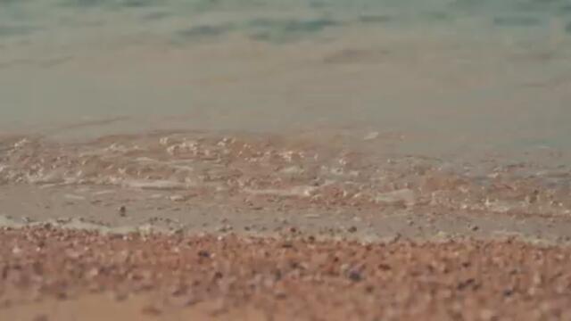 GRUPA MAGAZIN - VOLJELA 2025