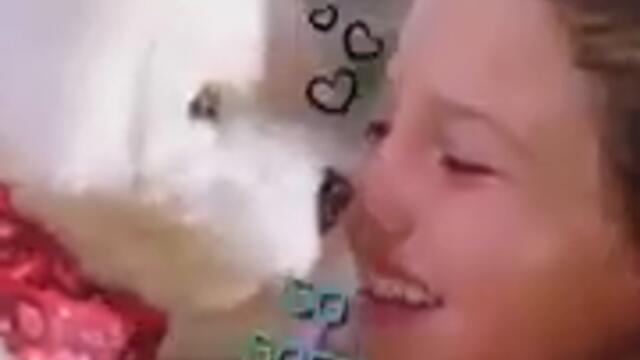 videoplayback 82