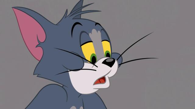 Шоуто на Том и Джери - Сезон 2 Епизод 38 (Градинарски мъки) (БГ Аудио) / Tom and Jerry Show - S2E38 (BG Audio)