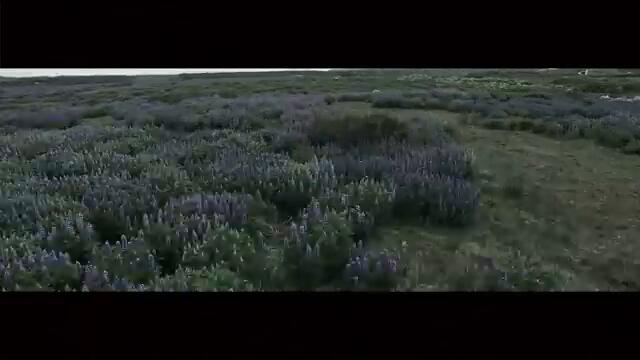 FILIP MITROVIC - NE PRICAM NIKOM O TEBI (OFFICIAL VIDEO)