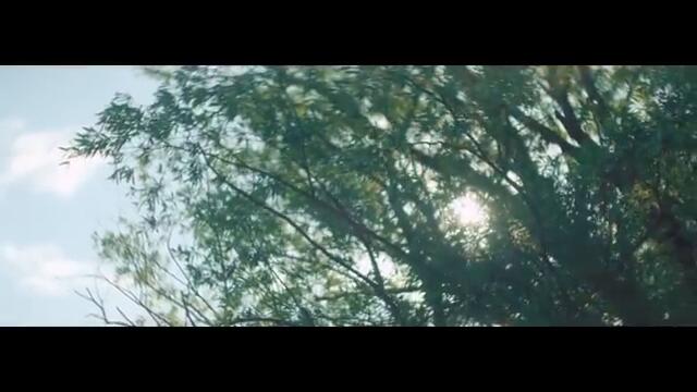 Danijela Martinović - Sve je na svon mistu (Official video) NOVI SINGLE!