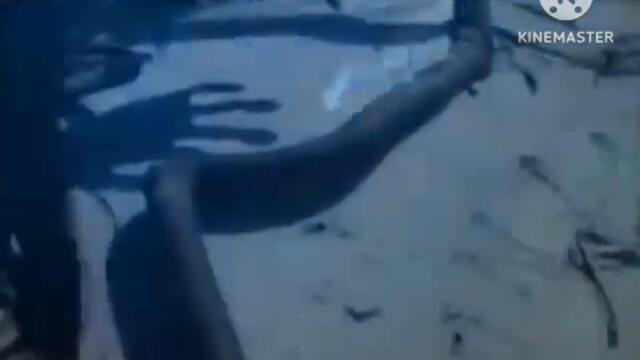 REAL MERMAID FOUND RELOADED Low Pitch V2