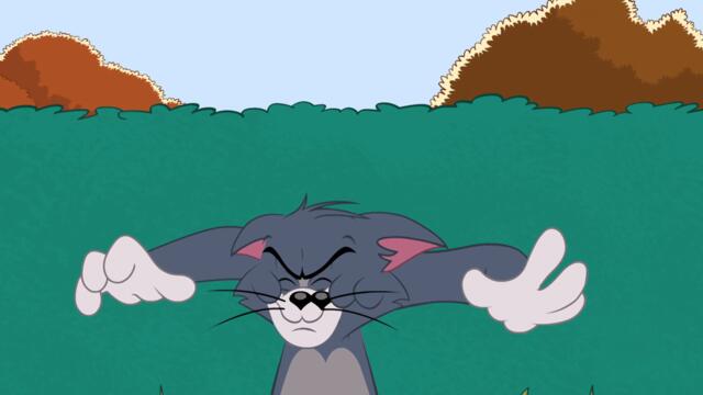 Шоуто на Том и Джери - Сезон 3 Епизод 19 (Животни с талант) (БГ Аудио) / Tom and Jerry Show - S3E19 (BG Audio)