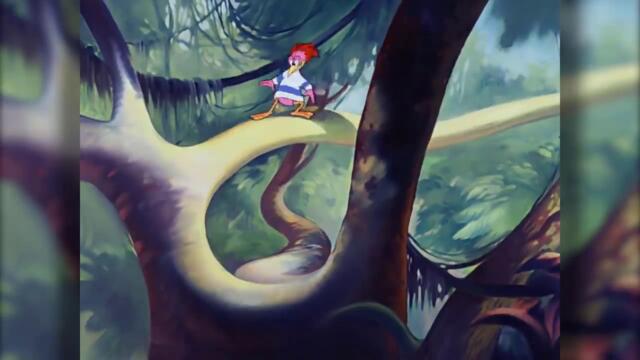 AniMat's Corner book shelf building montage