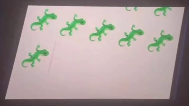 F U C K     T H E     T R E E