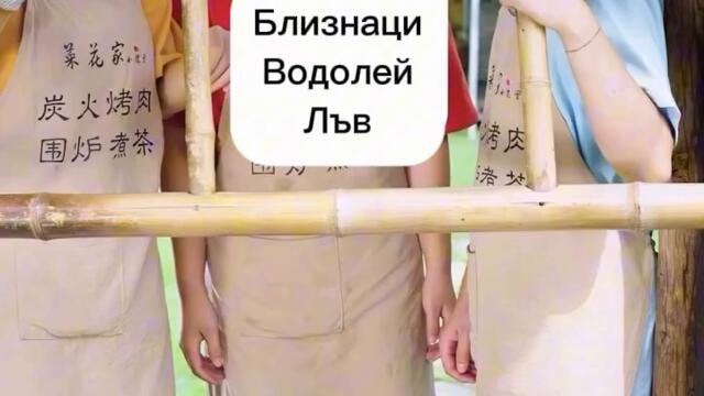 Зодиите се събрали да направят къща