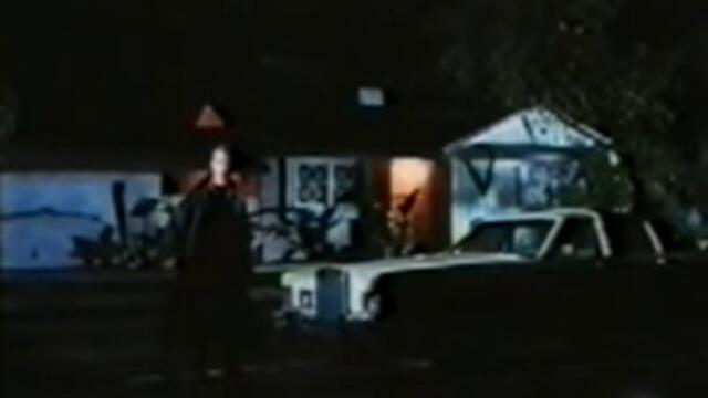 True Vengeance 1997 ИСТИНСКО ОТМЪЩЕНИЕ С ДАНИЕЛ БЕРНХАРД , МАЙЛЕС О'КИЙФ  ОТ ВИДЕО КЪЩА ДИЕМА 1ОТ2