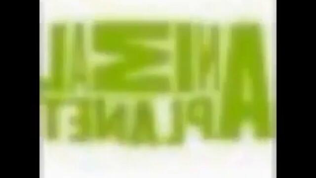 videoplayback 55