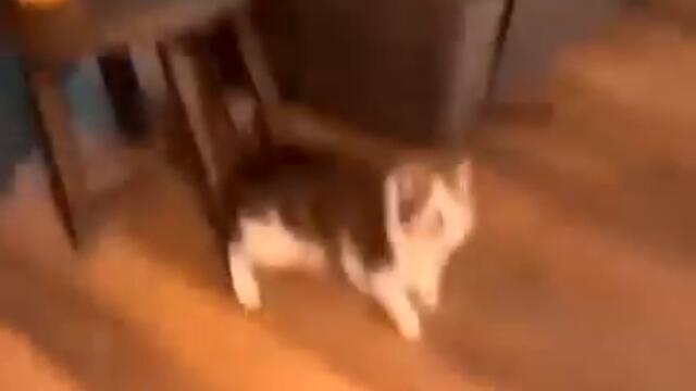 ilköğretim genel müdürlüğü