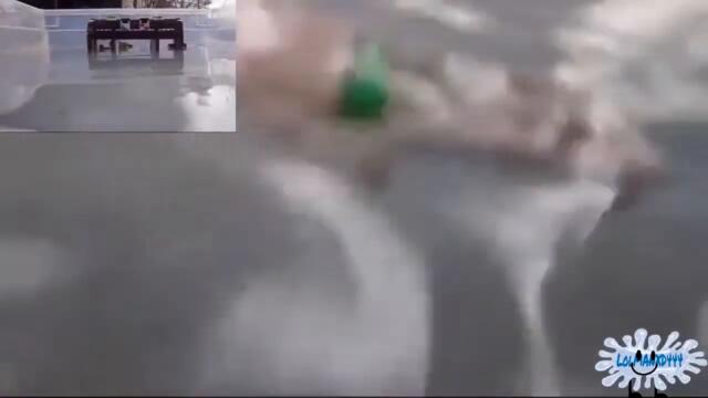 (PREVIEW) Lego SpongeBob: Bikini Bottom Flood [Sparta Remix]