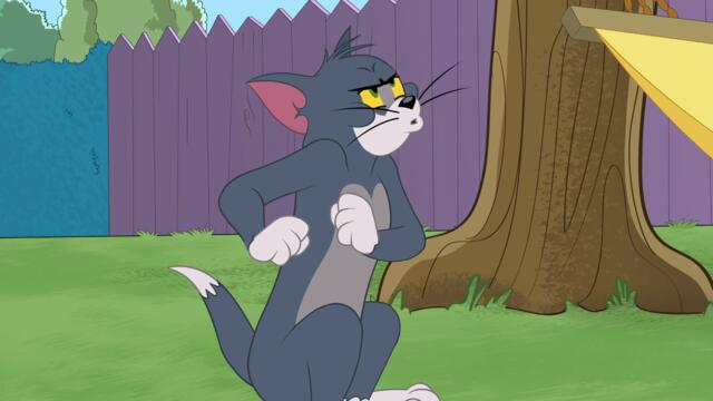 Шоуто на Том и Джери - Сезон 3 Епизод 68 (Фрасни гофъра) (БГ Аудио) / Tom and Jerry Show - S3E68 (BG Audio)
