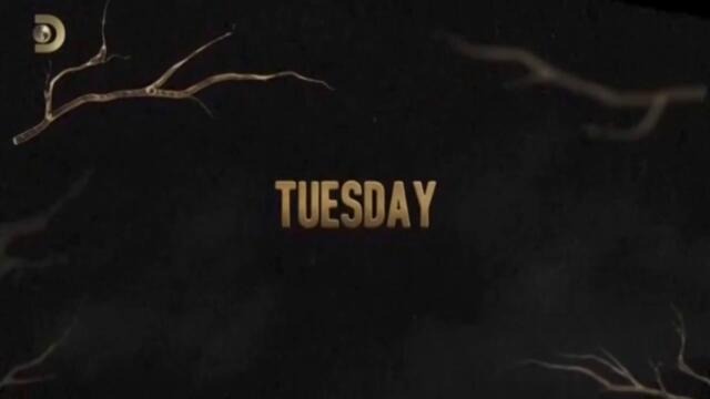 Анонсы_т.к_Discovery_Channel._Запись_от_12.05.2025