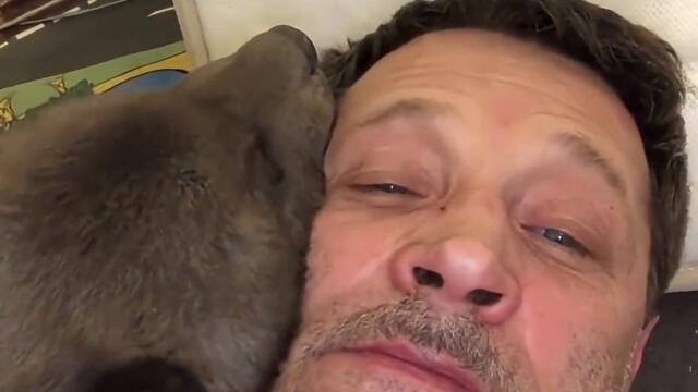 Мече-сираче си намери нов дом и приятели